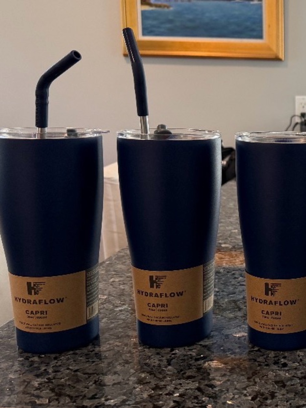HydraFlow Capri Navy Blue 30 oz. Insulated Travel Tumbler With Metal Straw